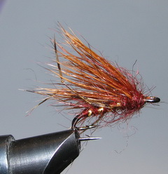 ���� �� �������� ��� �61 (10) Caddis ( Brown Hog Hopper ) ��. ������� Kumho � 10 
